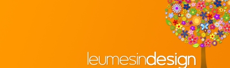 Leumesin Design Fb Cover